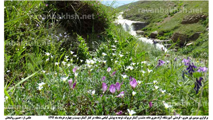 سومین تور هنری-گردشی آموزشگاه آزاد هنری دانه، توجه به پوشش گیاهی منطقۀ دشت دریوک، مازندران، بیست و چهارم خرداد ماه 1392